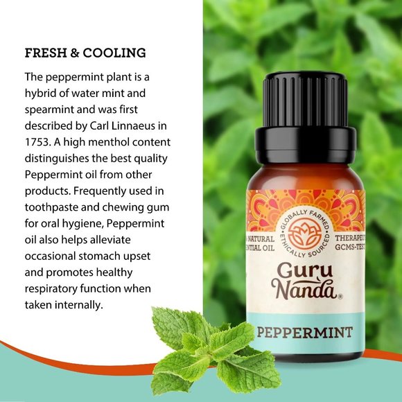 Guru Nanda - Peppermint Essential Oil Value Size - Picture 6 of 8